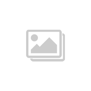 [TEST] Cheese Sandwich
